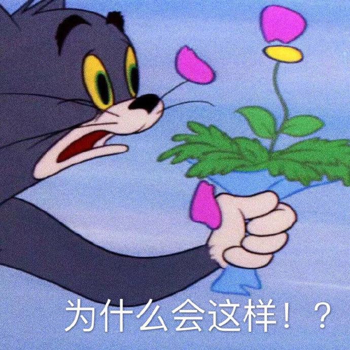 快看表情包