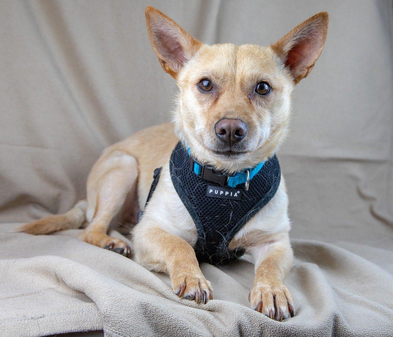 金川正太小区房价多少