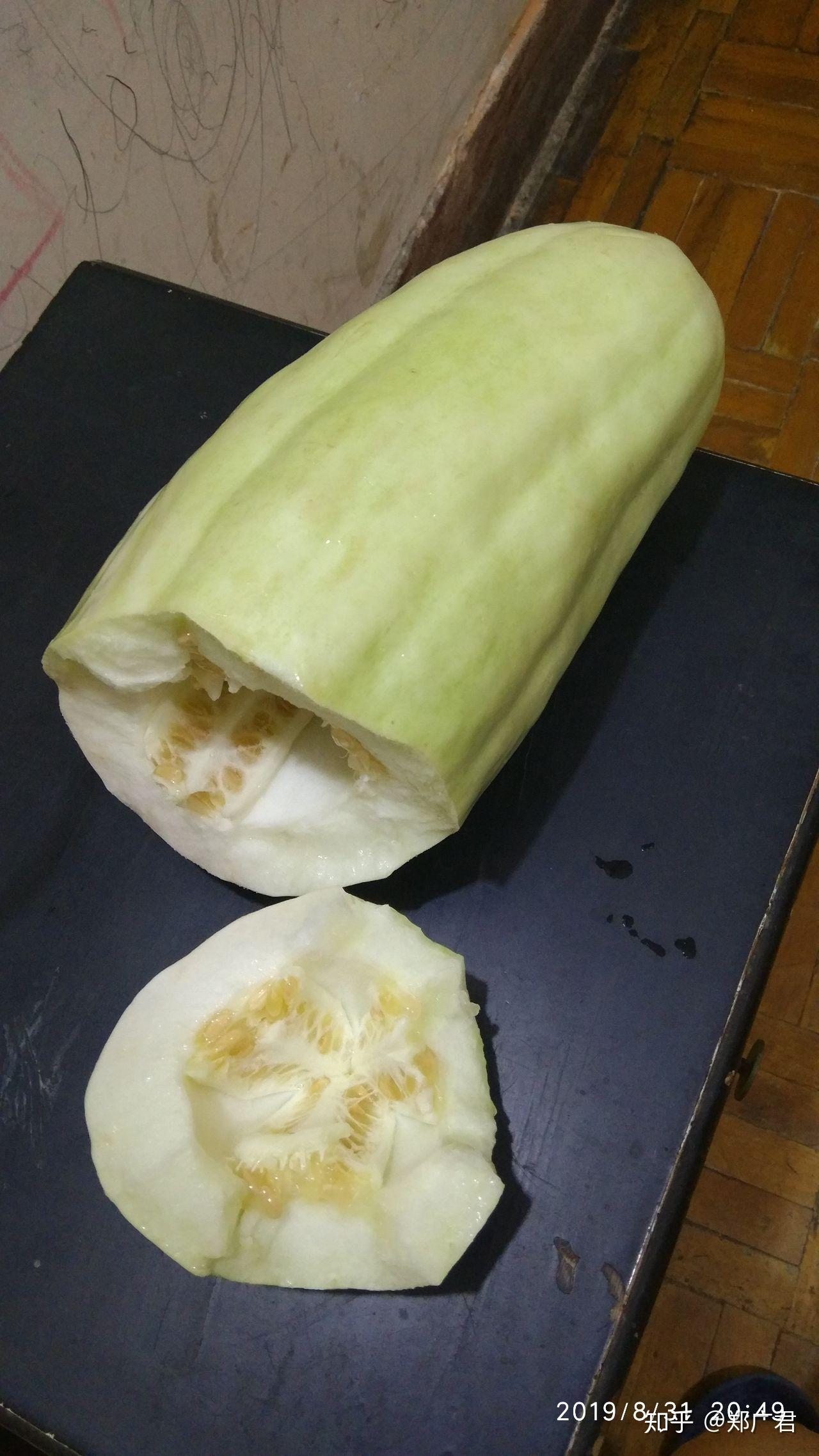 南方所说的骚瓜读音学名是什么