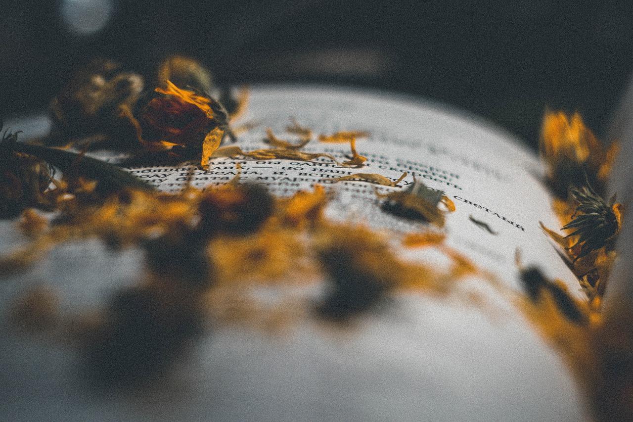 成功案例分享与经验总结