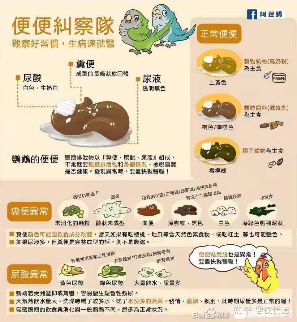 怎样养鹦鹉