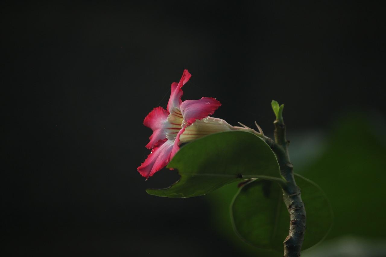 2. 高效微米级净化