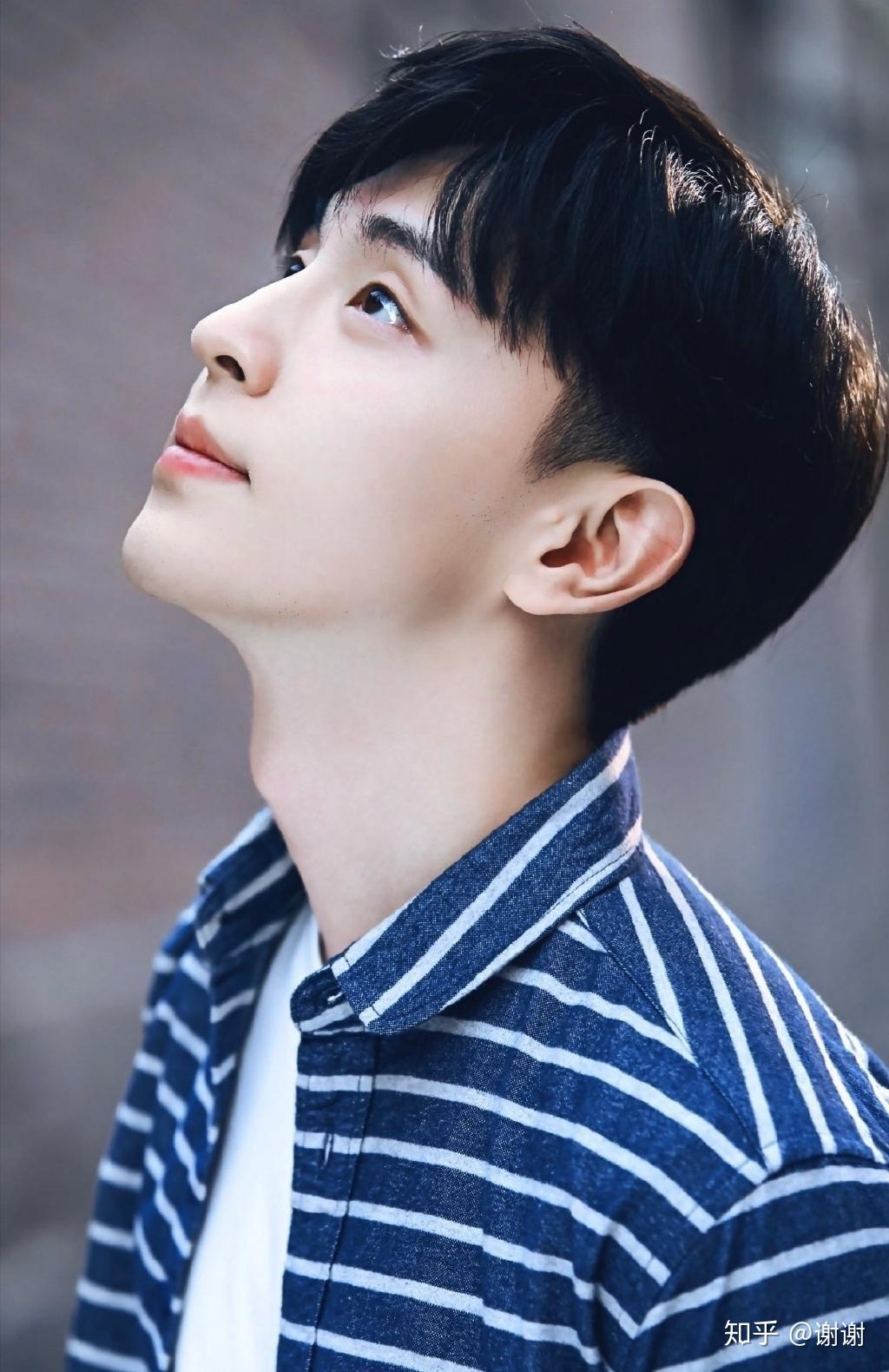 亚洲有哪些鼻子堪称艺术的男明星? - 知乎