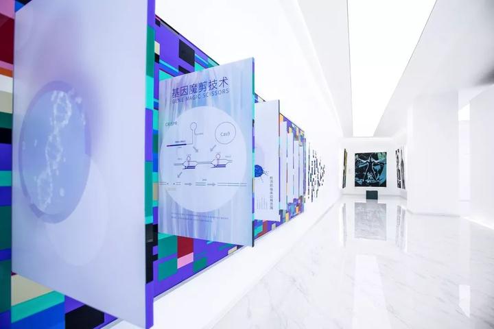 干细胞展厅设计:五大核心环节构建沉浸式科普脉络|2025干细胞展厅设计官方网站 - 知乎
