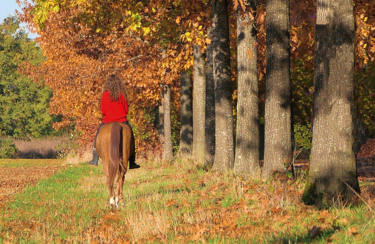 2. 秋叶色彩渲染