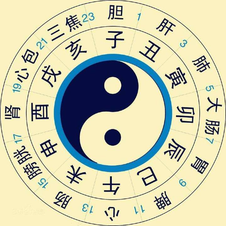 淡水鱼腹水的成因及治疗方法 鱼病原理 知乎