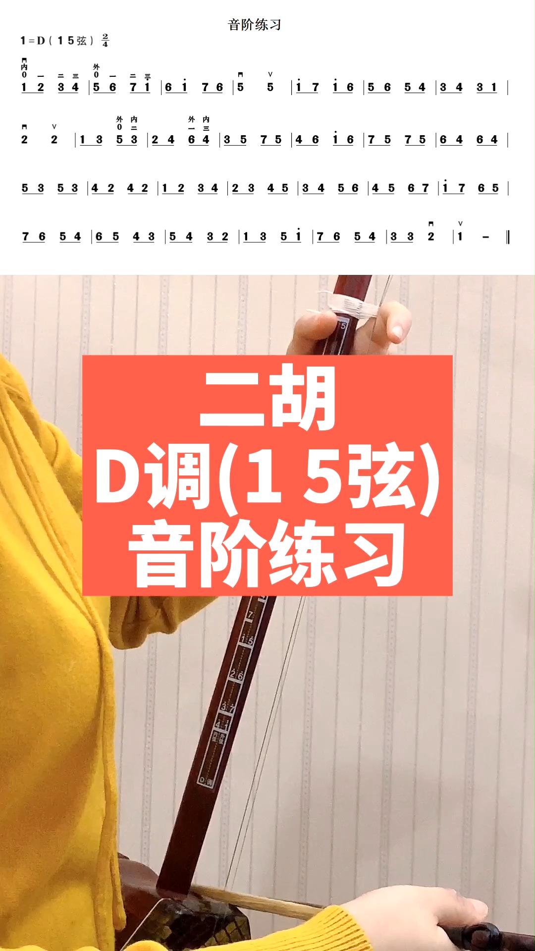 69二胡d调15弦音阶练习颂音坊二胡教学