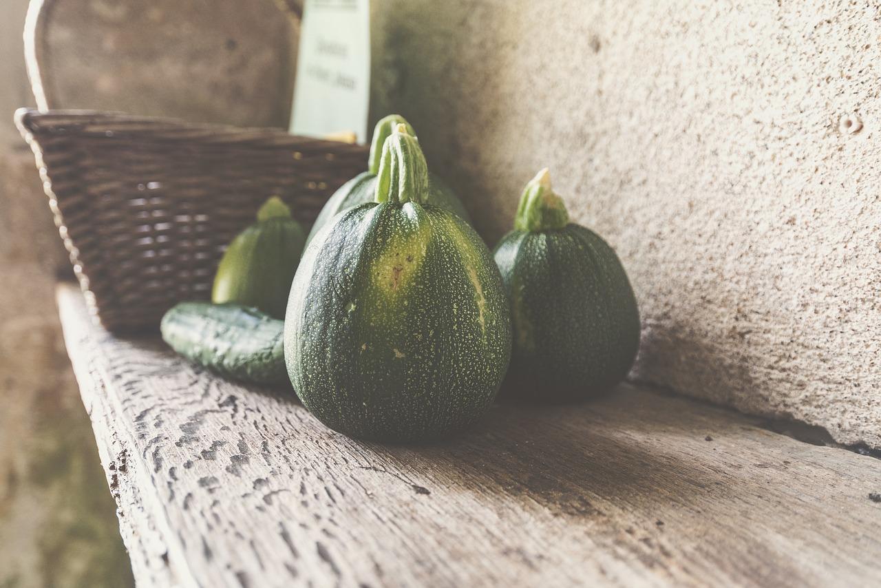 壁球设备采购价