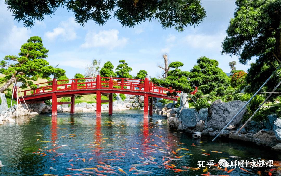 分享篇|| 常见的园林景观水系设计形式 - 知乎