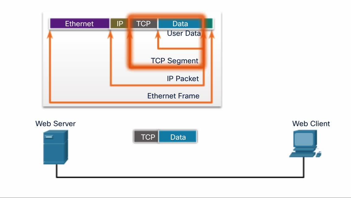 CCNA Course 4-7, 物理层, MAC地址, 数据链路层 - 知乎