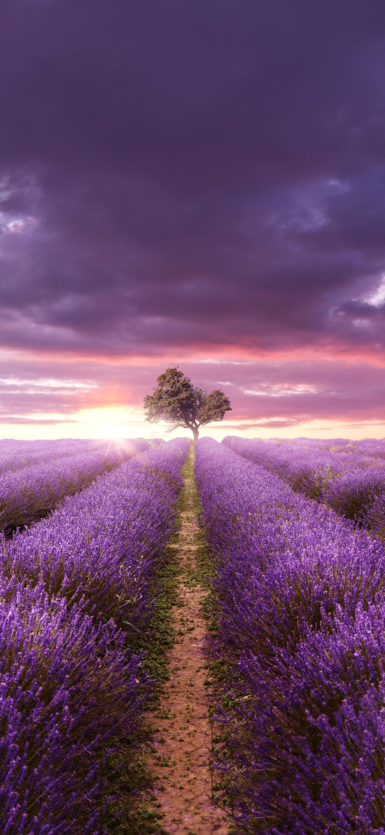 有哪些纯风景壁纸? - 知乎