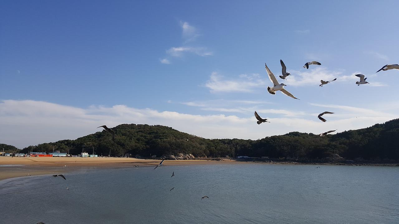 3. 加盟政策解读