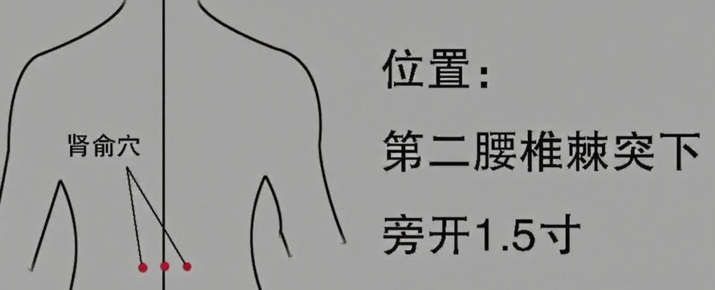 人体常见48个穴位，作用、按揉手法，图文取穴，实用指南！ - 知乎
