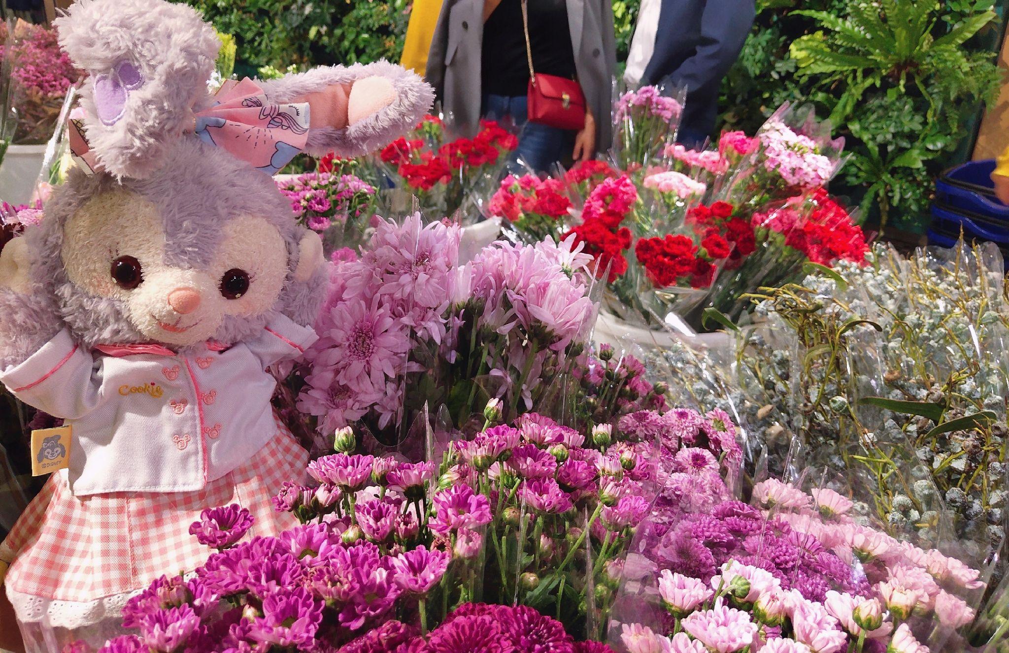 有没有星黛露的头像或者壁纸! - 知乎