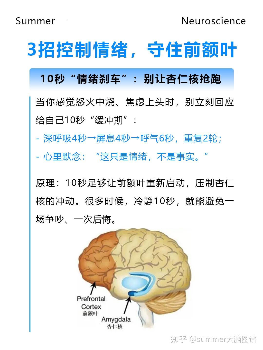 别让情绪毁了前额叶 - 知乎