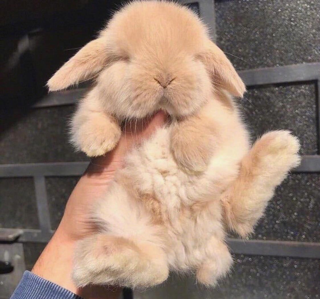 有没有什么惊艳的微信头像?-特别惊艳到人的微信头像