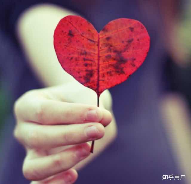 怎么能让生活变得更充实? - 知乎