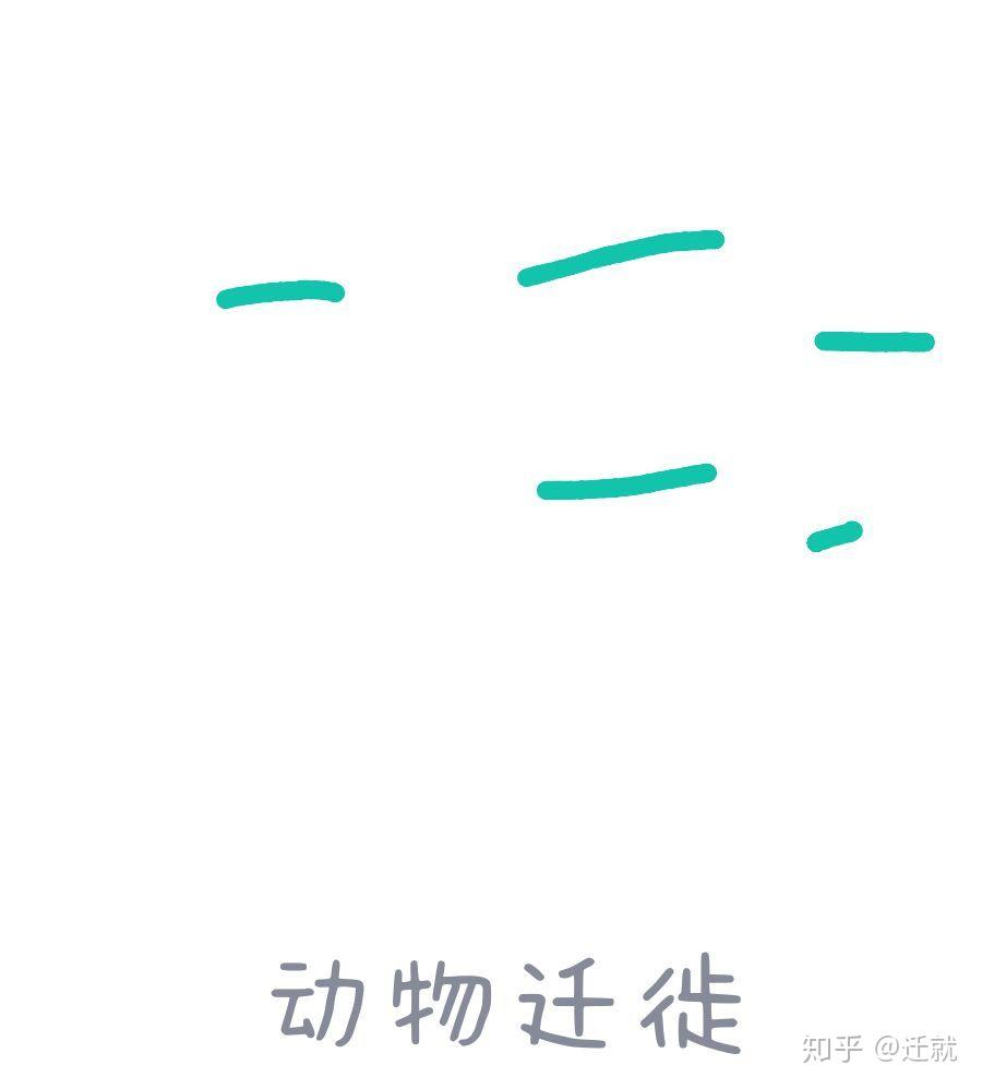 qq红包中的动物迁徙怎么画?