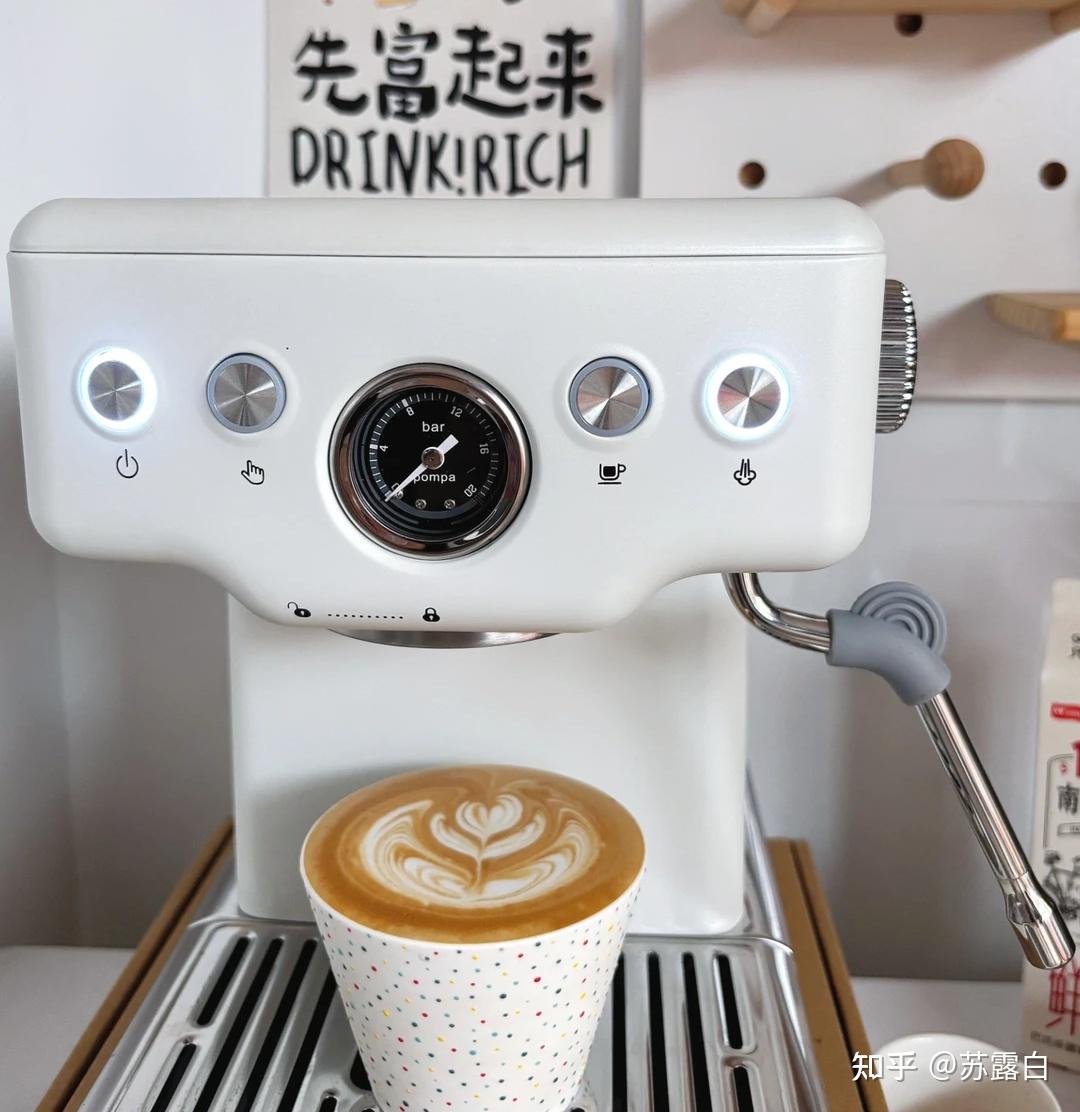 预算2000内,想喝拿铁拉花?闭眼入柏翠PE3833海盐小方Pro,新手不翻车!