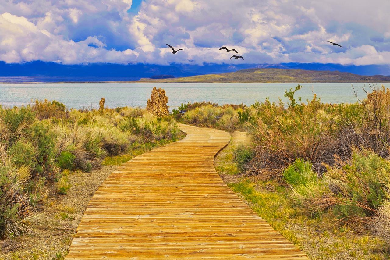 宝通路所以什么地块