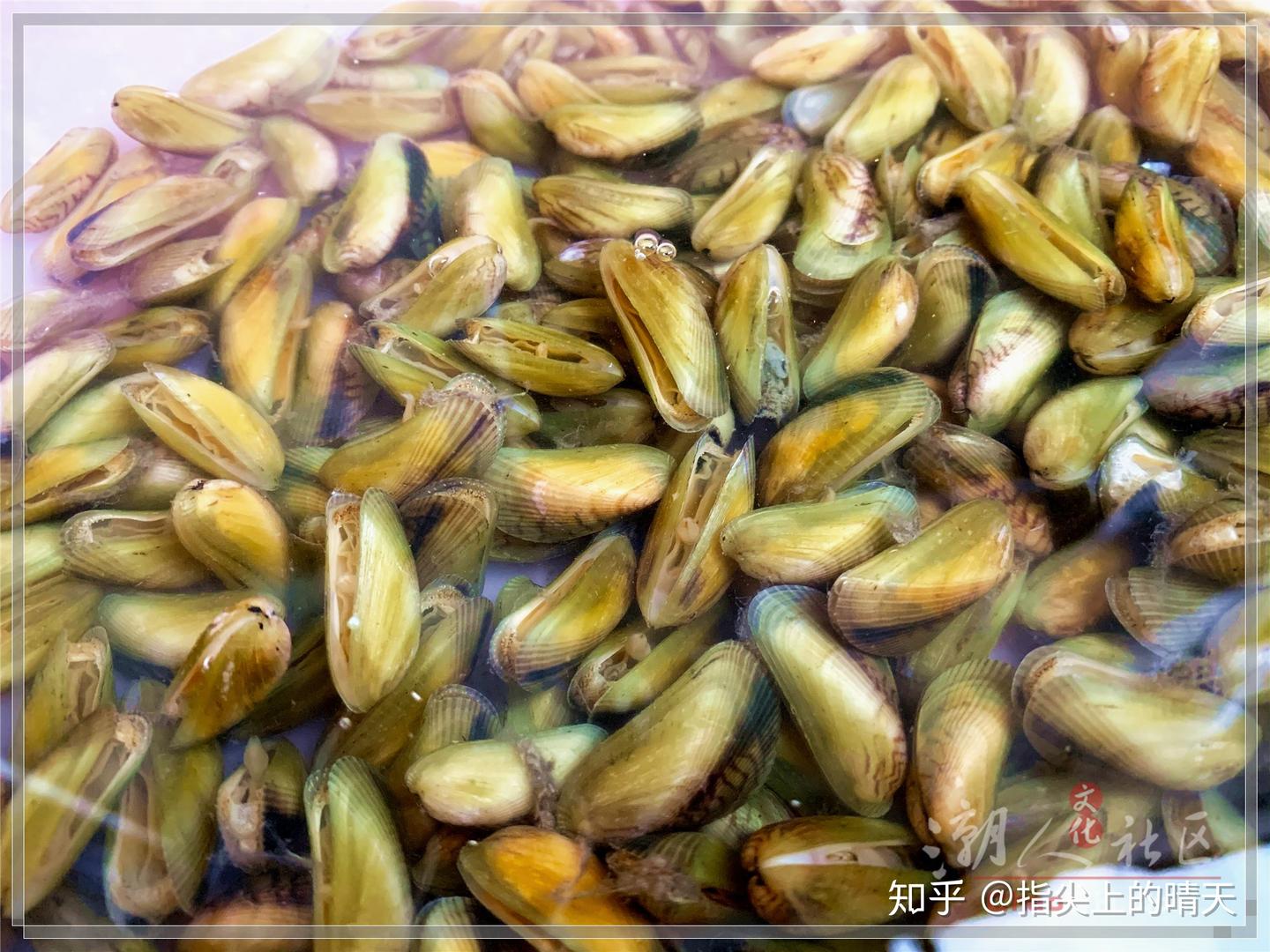 一吃就上瘾的金不换炒薄壳