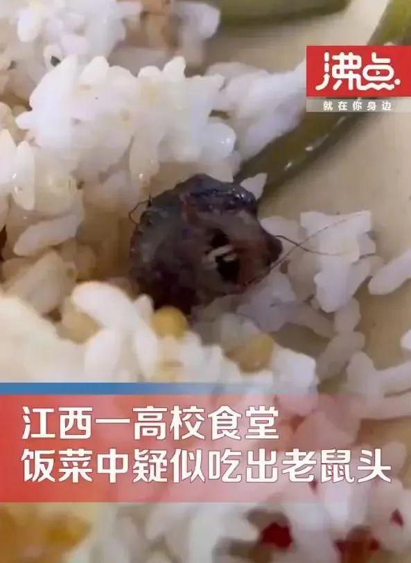 市屬聯考面試熱點江西高校食堂鼠頭鴨脖事件持續發酵