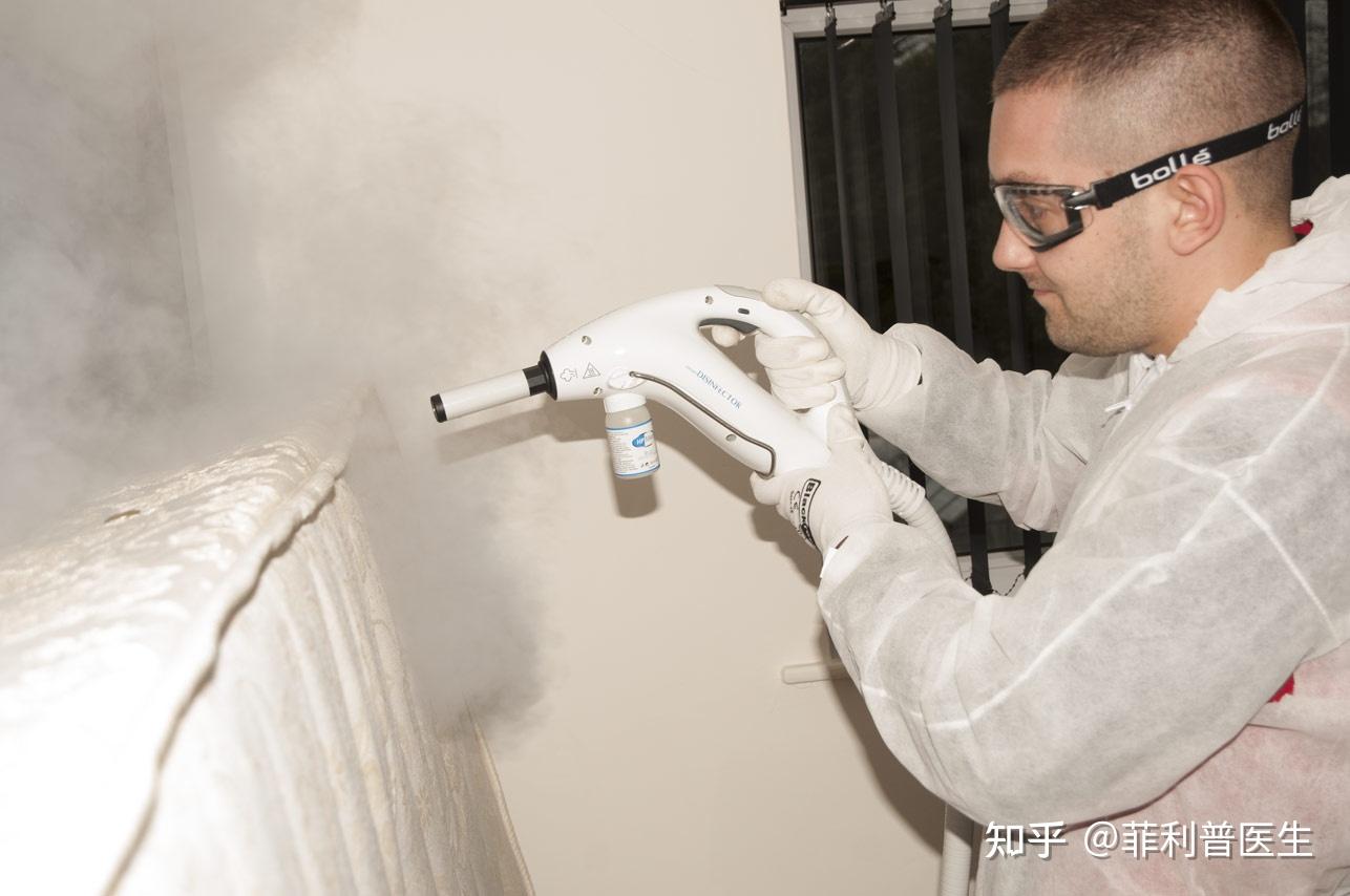 欧洲,韩国等多地爆发床虱危机,臭虫以人类血液为食,哪些信息值得关注?