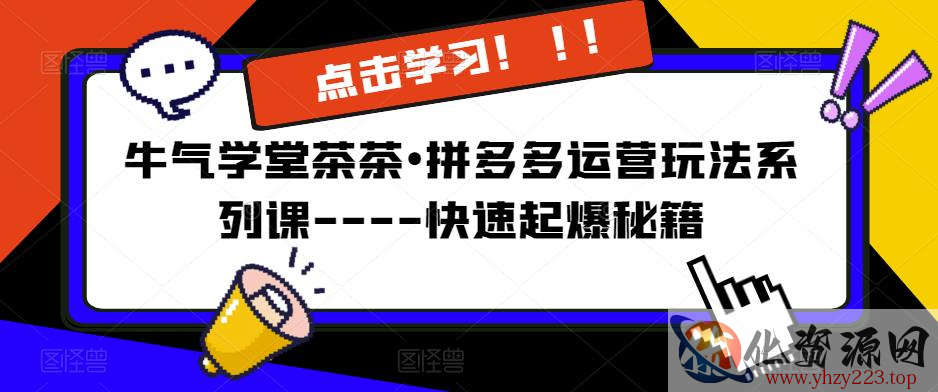 牛气学堂茶茶•拼多多运营玩法系列课----快速起爆秘籍【更新】