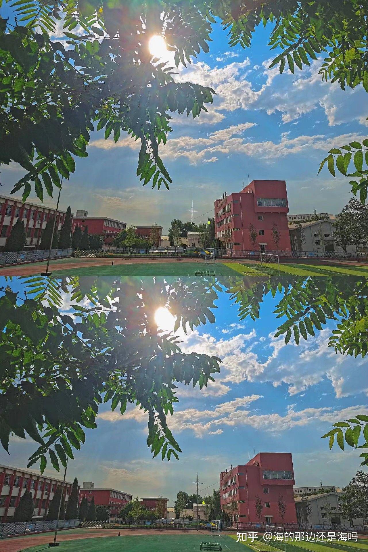 在河北农业大学秦皇岛校区读书是怎样的一种体验?