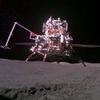 张不胖