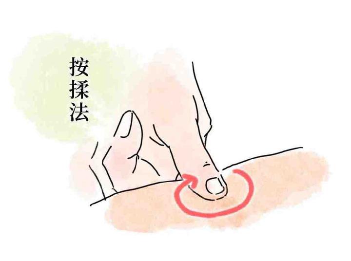 推拿常用手法-复合手法-按揉法 - 知乎