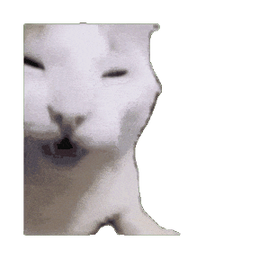 网红猫meme表情包第一弹(震惊猫) - 知乎