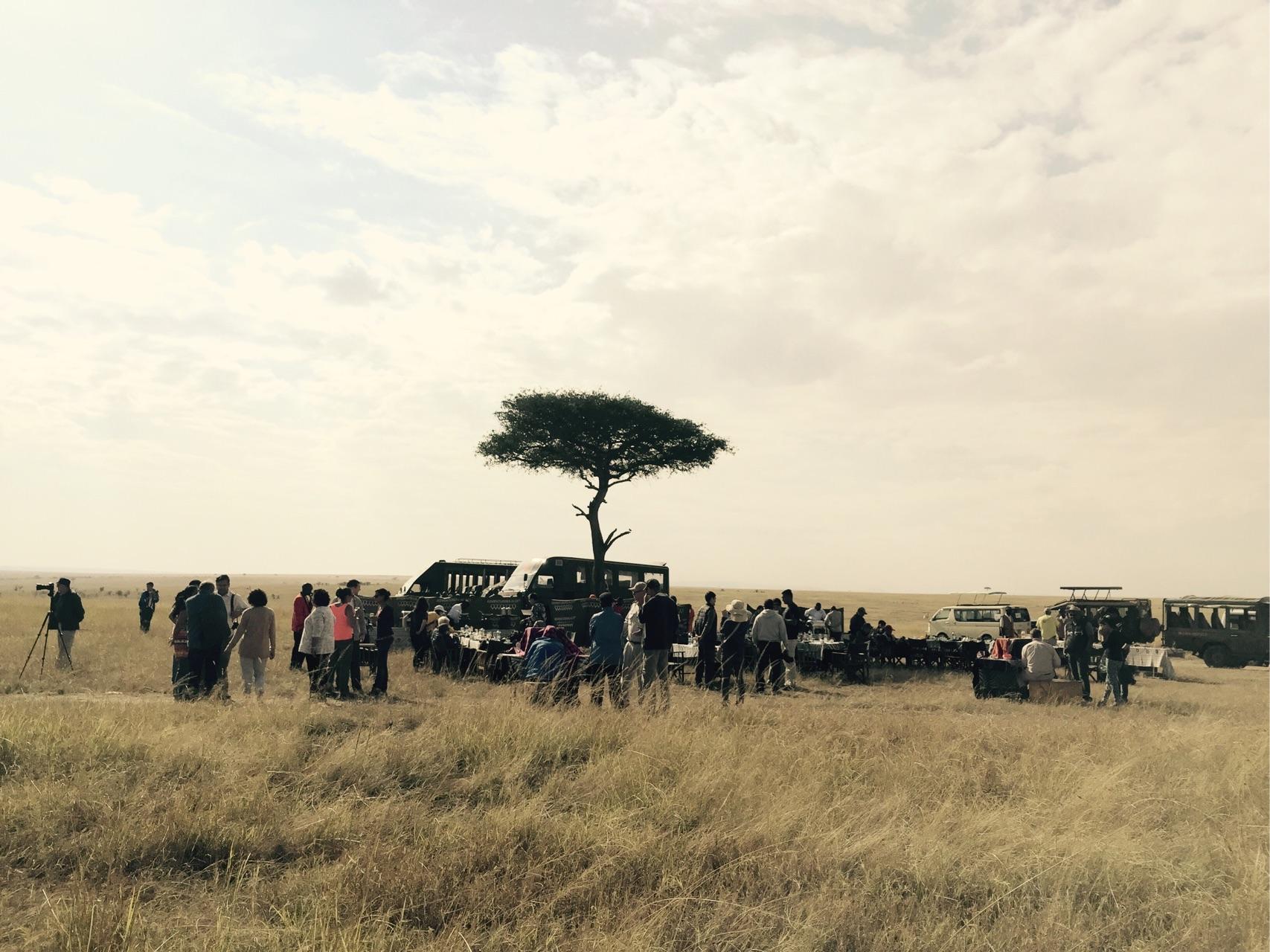 去肯尼亚旅行是一种什么体验?