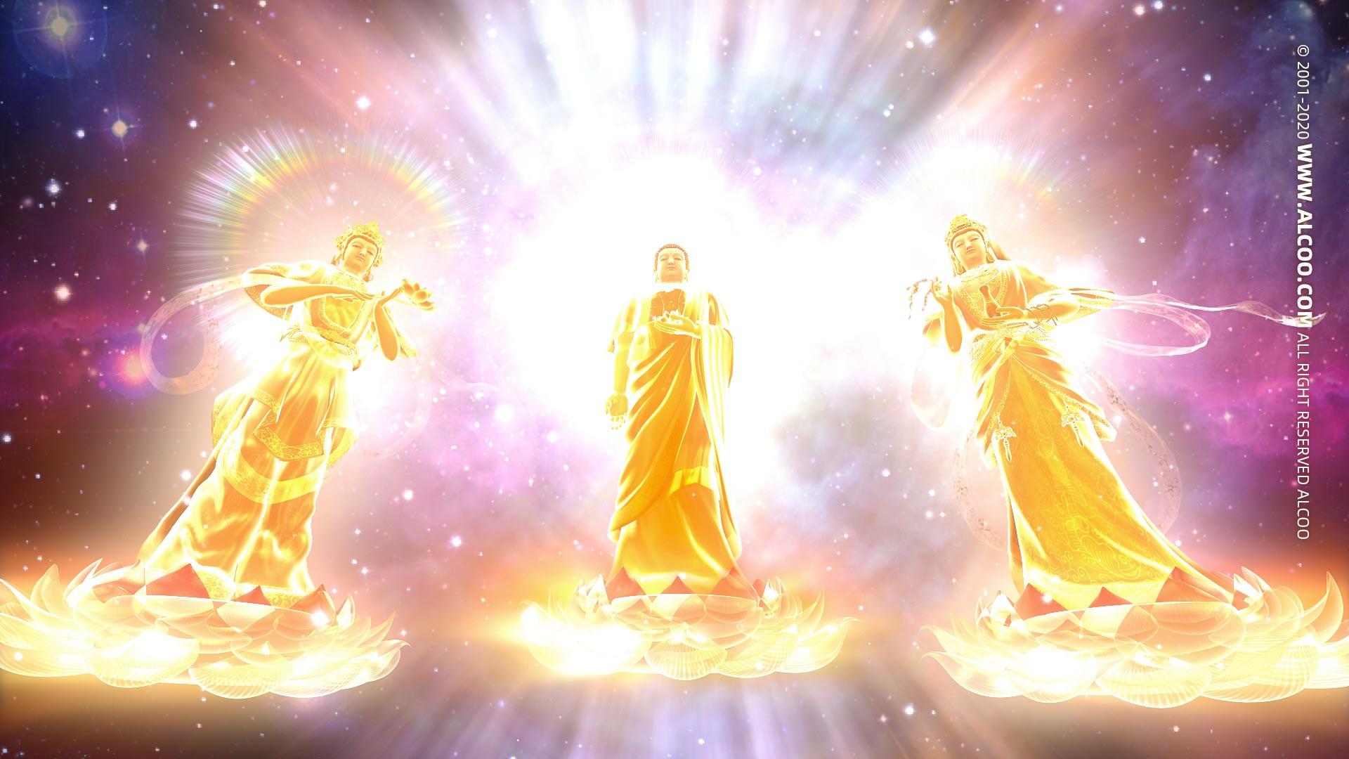 想到有一天你会离开这个世界,你会恐惧死亡吗? - 知乎