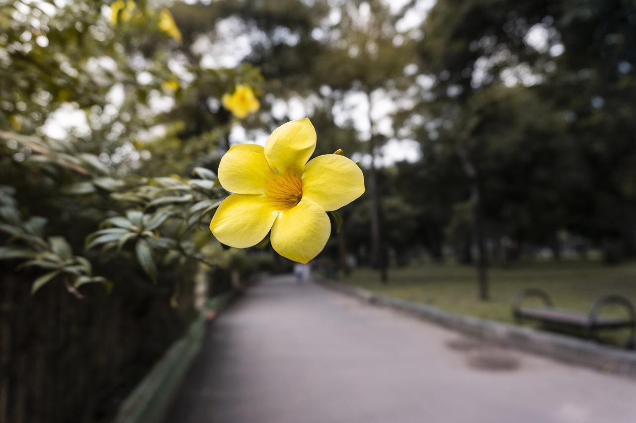 太子湾公园多少亩