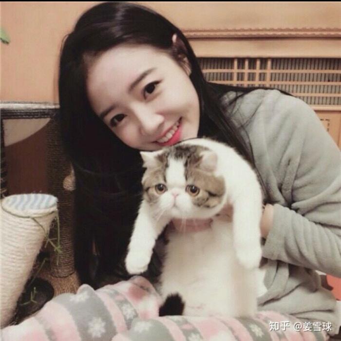 抱起猫的正确姿势是怎样? - 知乎