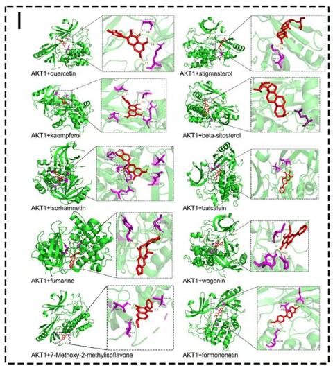 Autodock分子对接(完)-PyMOL可视化 - 知乎