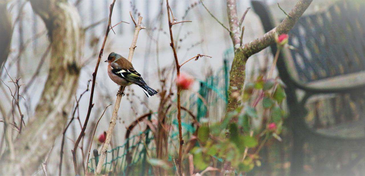 2. 不合格主体责任