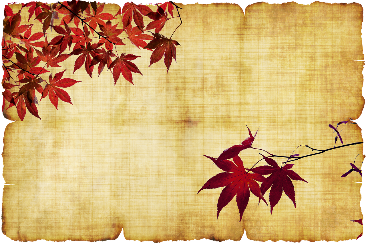 3. 叶色与季节对话