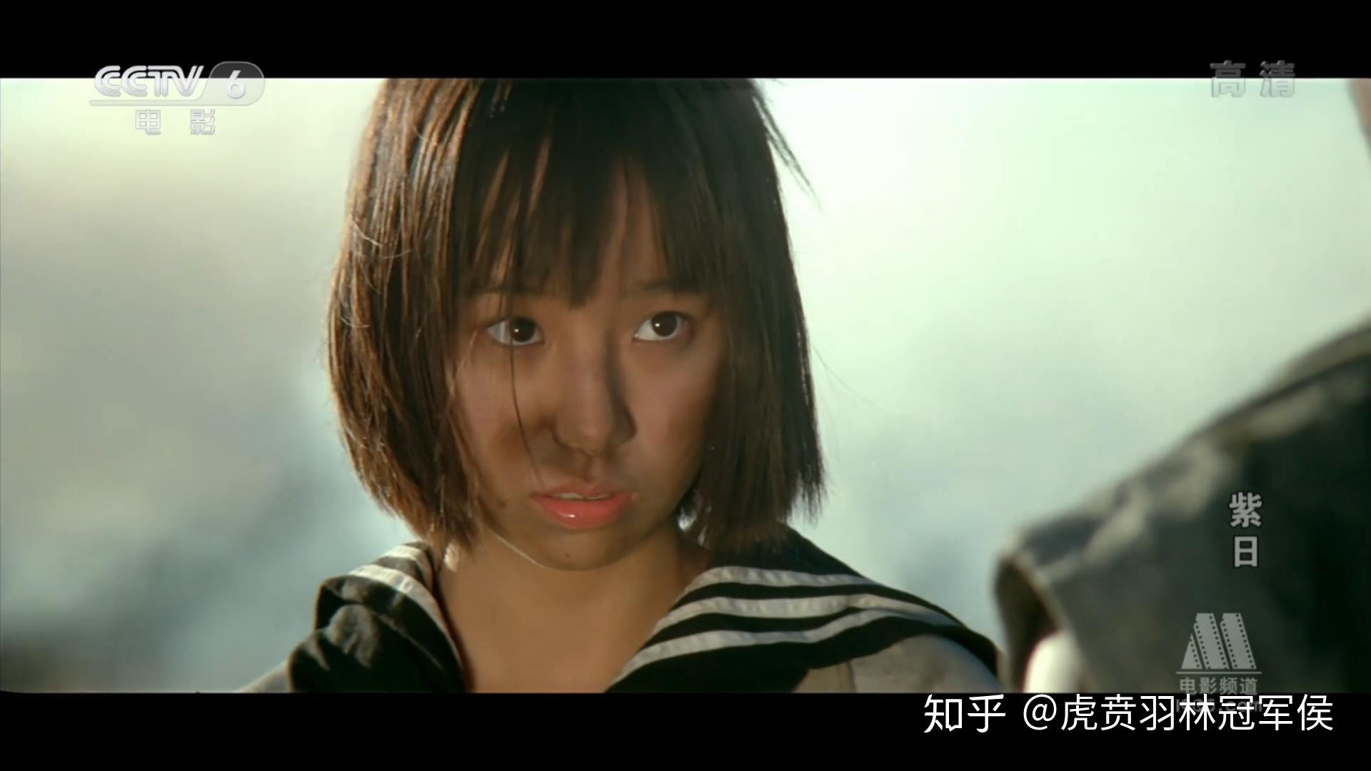 如何评价紫日这部电影