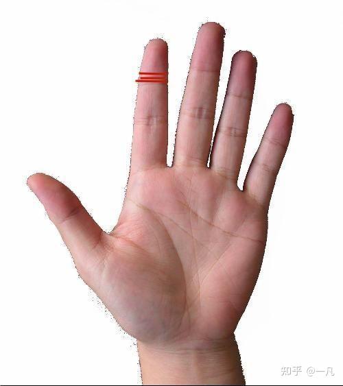五根手指也大有文章—食指 - 知乎