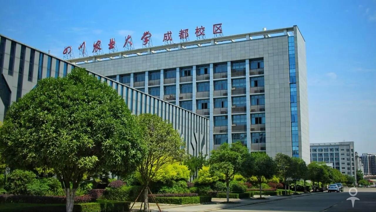 四川农业大学成都校区有什么值得拍照的地方?