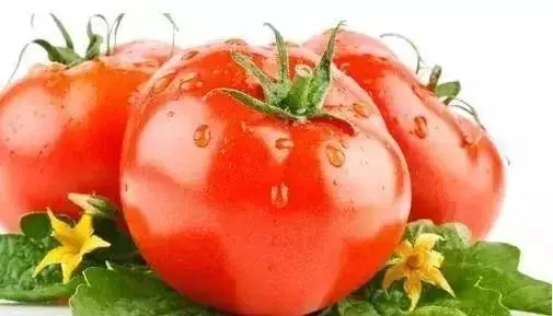 7 Day Fruit Diet Tomato