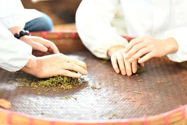 揭秘手工制茶:千年技艺背后的匠心与温度 - 知乎