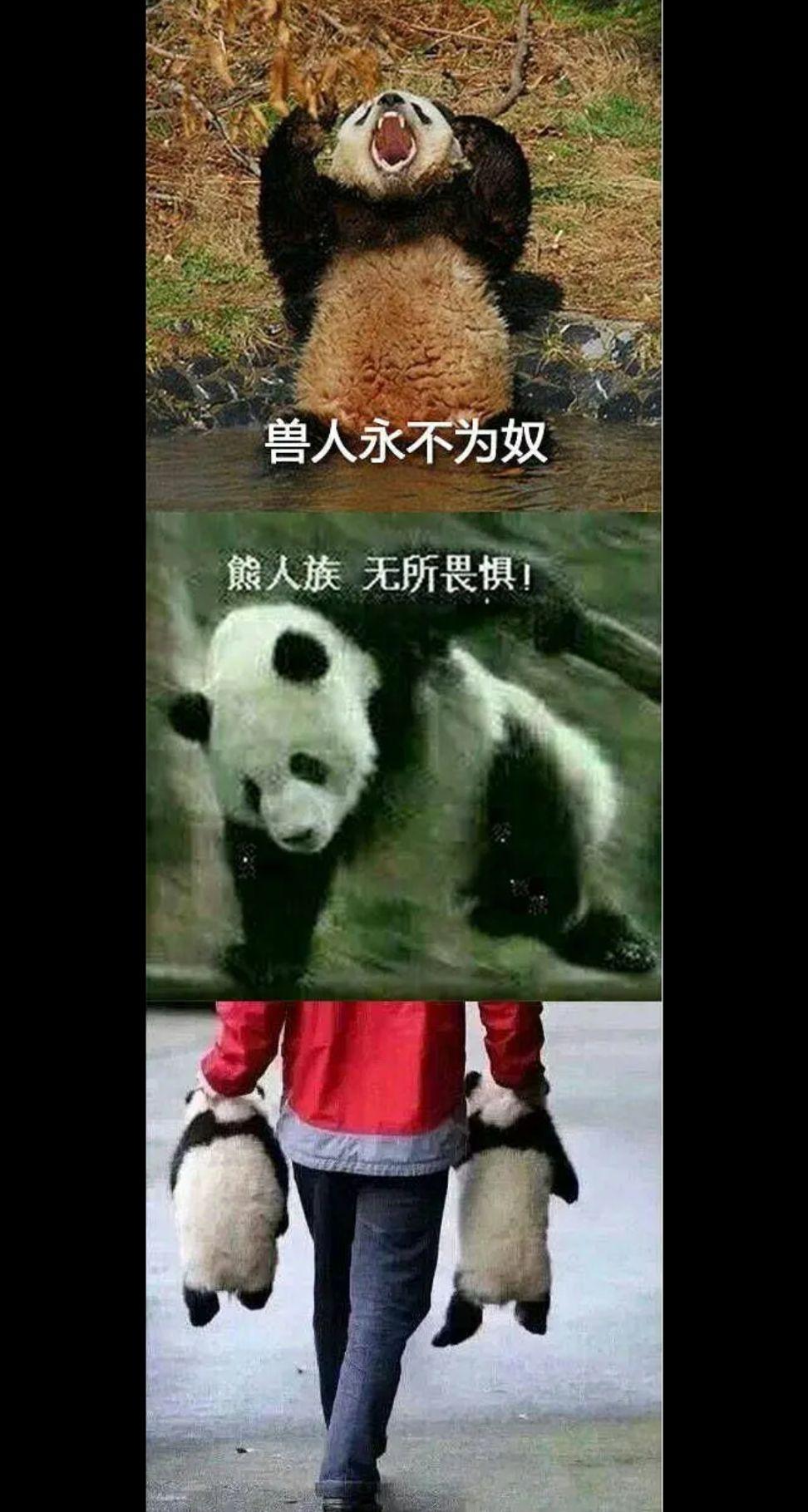 无畏无惧打一动物