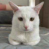 C#中，IntPtr详解 - 知乎