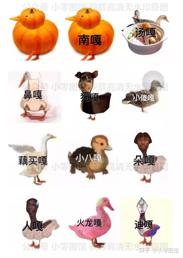 表情包 / 各种嘎嘎表情包 - 知乎