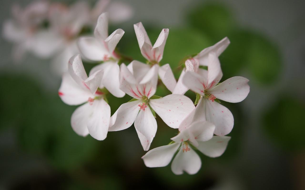 4. 氨氮浓度对比