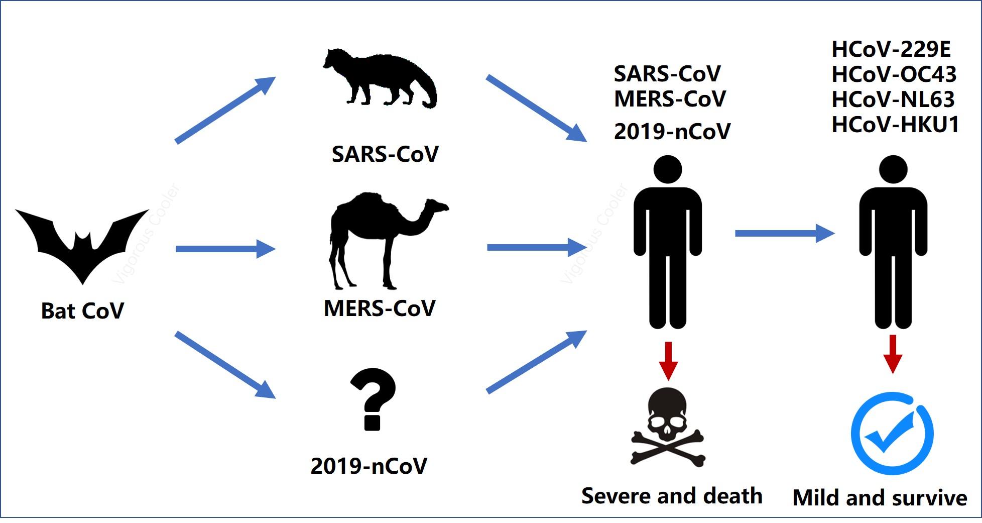 钟南山院士称新型冠状病毒传染性比sars最强时弱两者对比如何从非典
