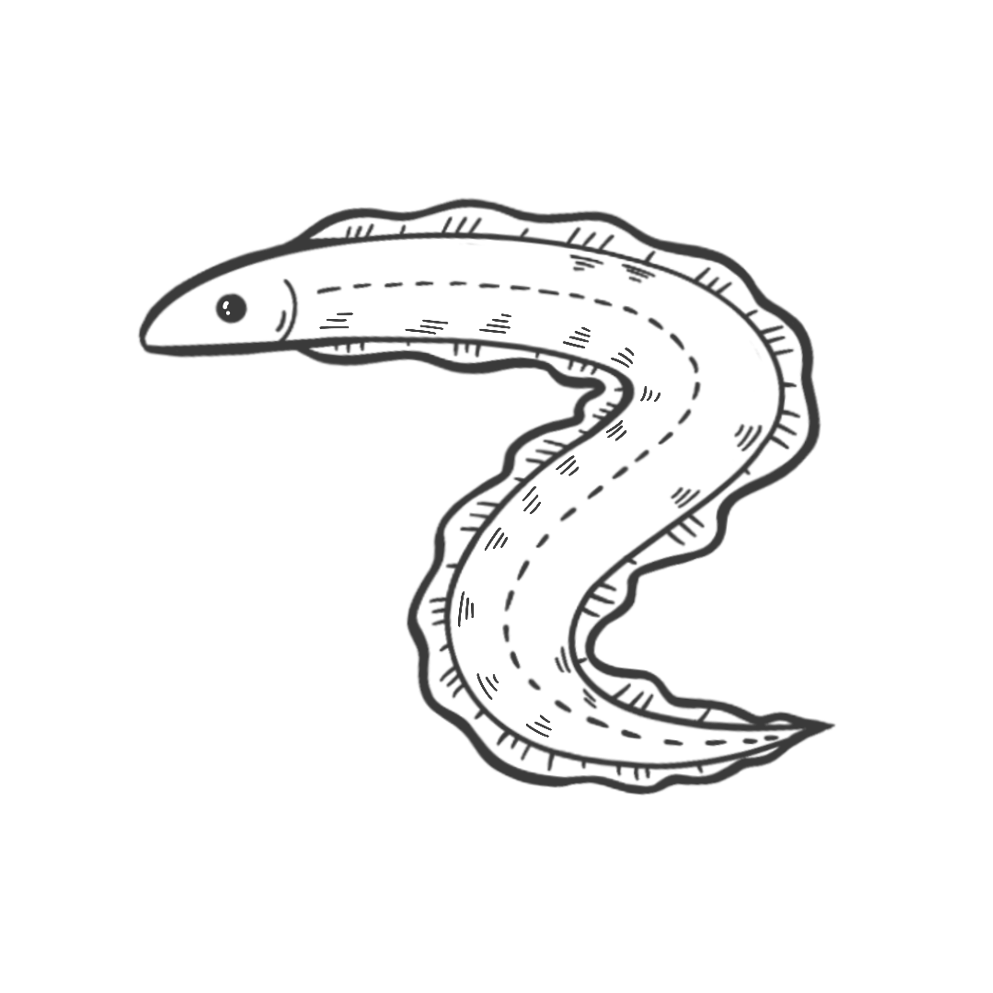 手竿能海钓吗? - 知乎